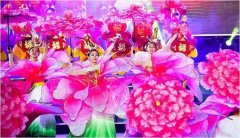 《百花齊放》 廣州舞蹈表演隊(duì)  活動(dòng)主持人  會議
